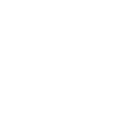 cash management icon